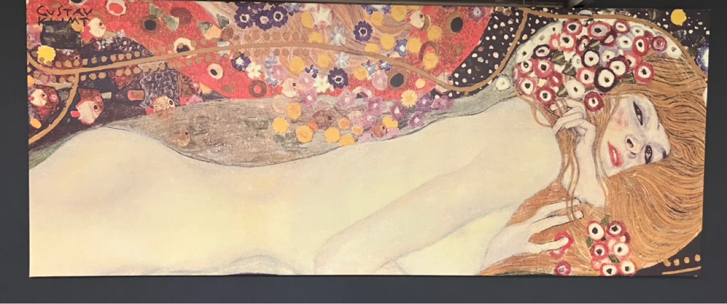 Gustav Klimt ikea Canvas Print