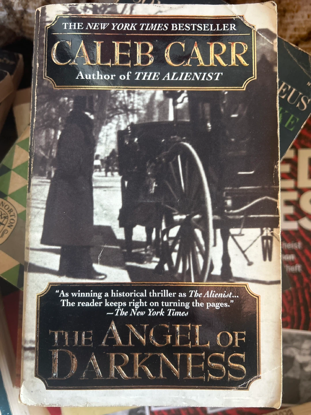 The Angel of Darkness by Caleb Carr