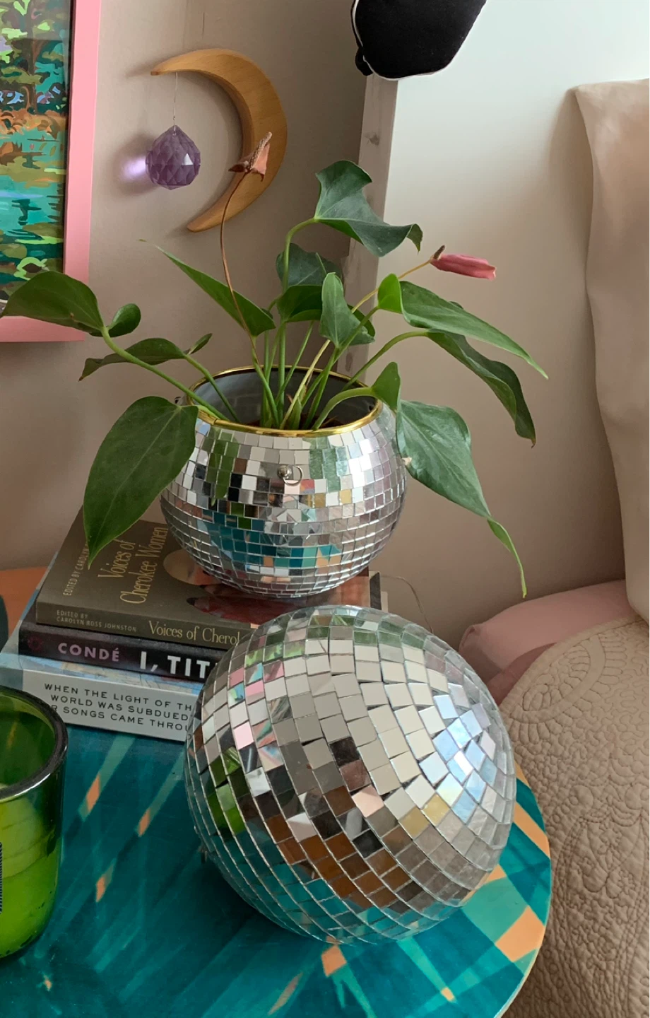 Anthurium Plant