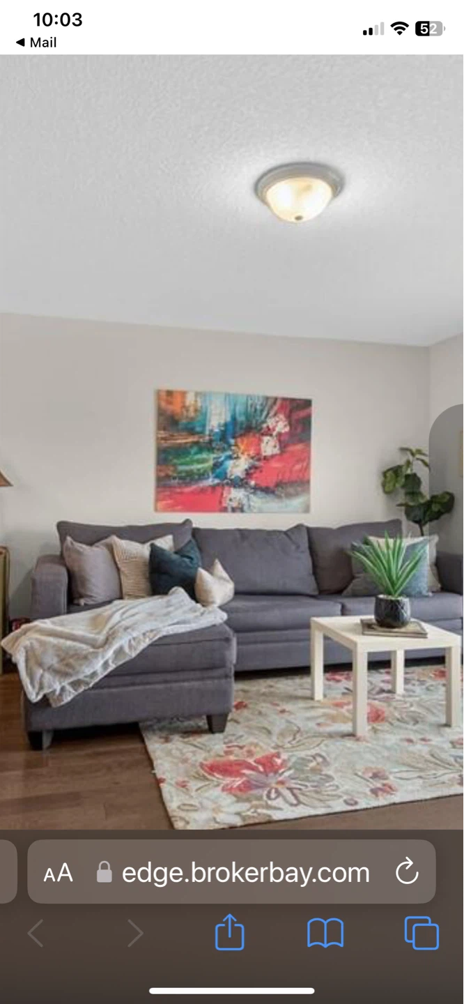 Grey Sectional Sofa-bed with Chaise