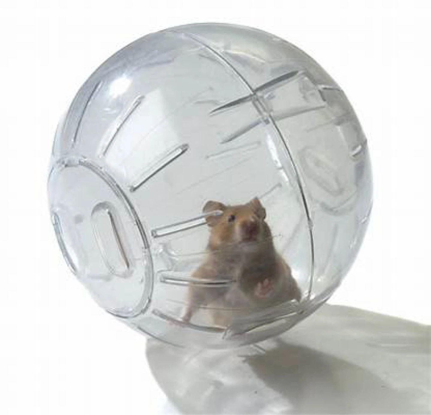 Hamater exercise ball - photo 3