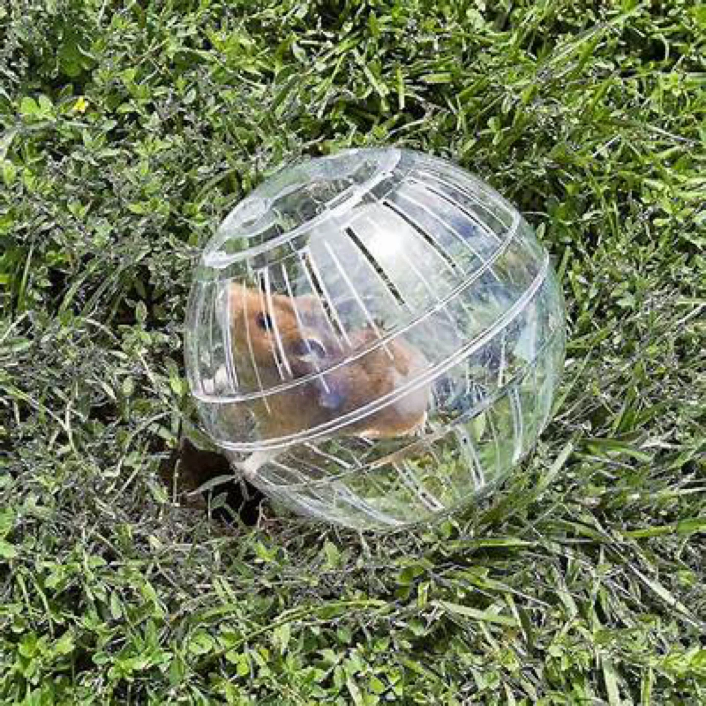 Hamater exercise ball - photo 2
