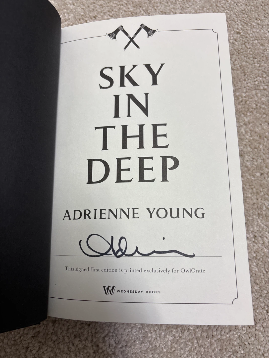 Sky in the Deep by Adrienne Young - Signed First Edition - photo 3