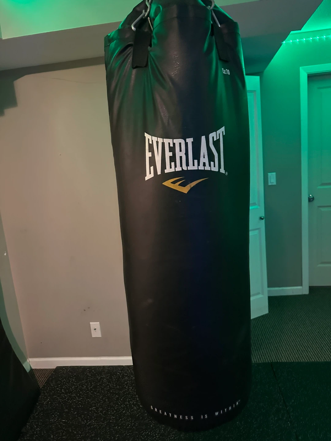 Everlast Punching Bag