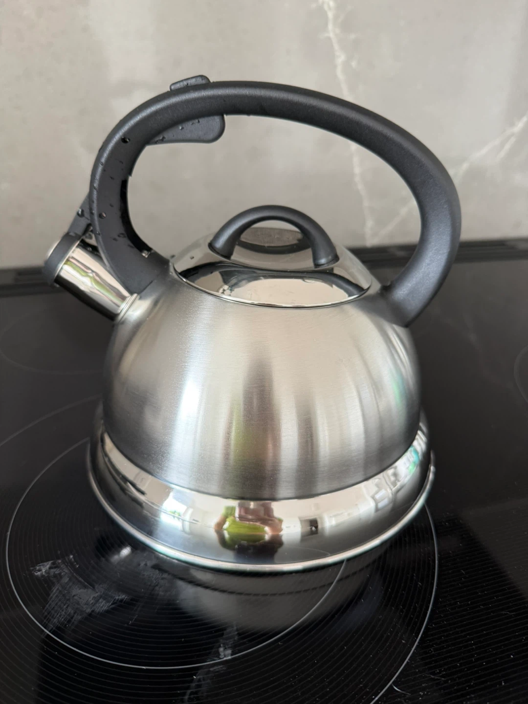 Stainless Steel Whistling Tea Kettle