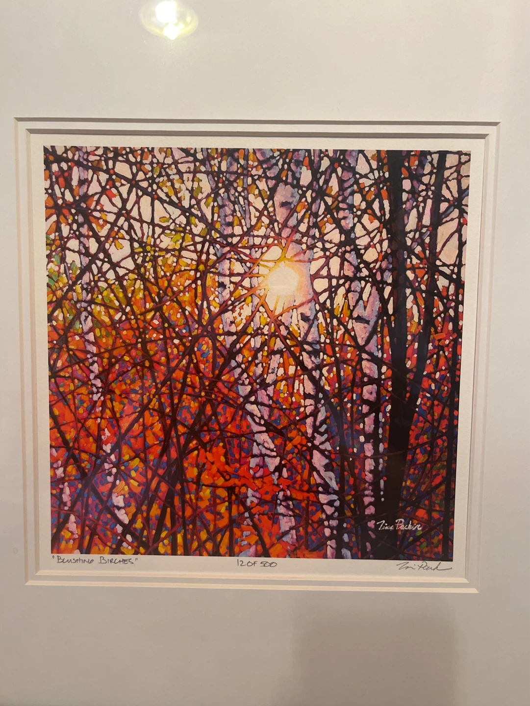 TIM PACKER - “Blushing Birches" - photo 2