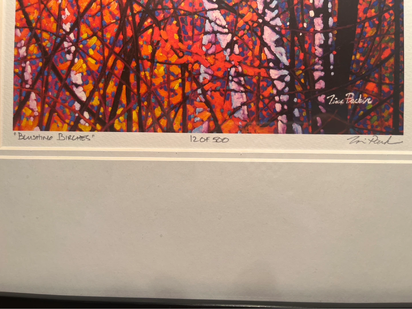 TIM PACKER - “Blushing Birches" - photo 3