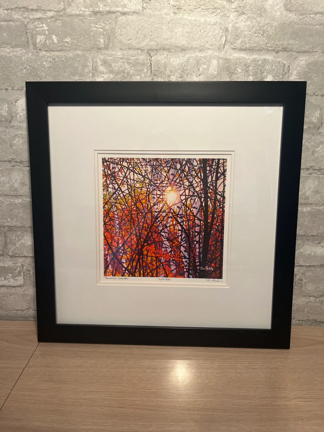 TIM PACKER - “Blushing Birches"