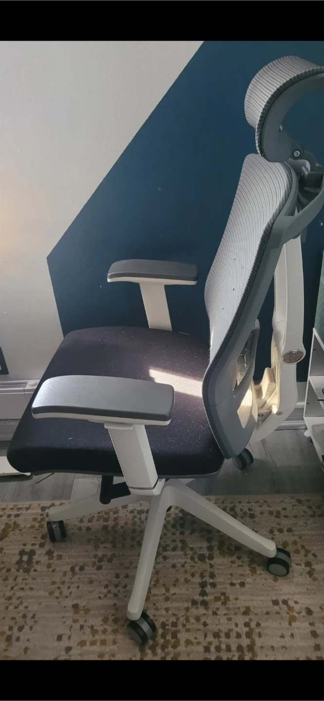 Ergonomic Mesh Office Chair - Autonomous - photo 2