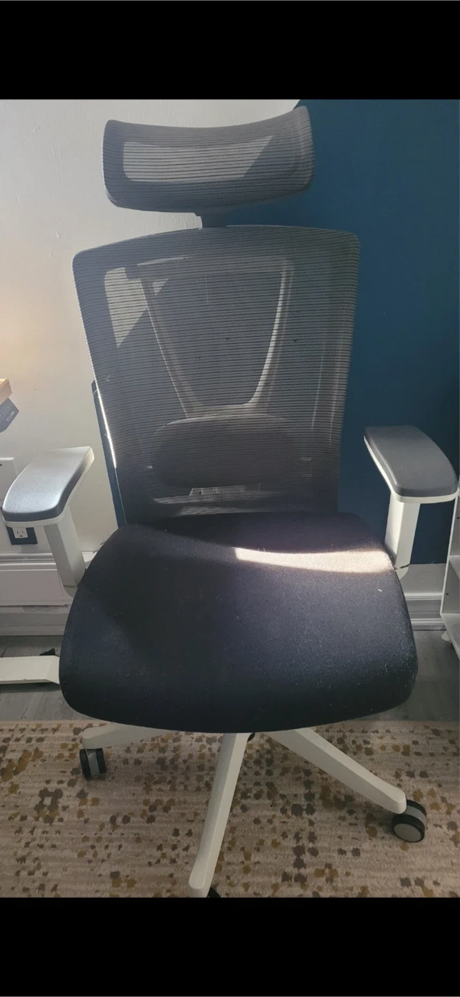 Ergonomic Mesh Office Chair - Autonomous