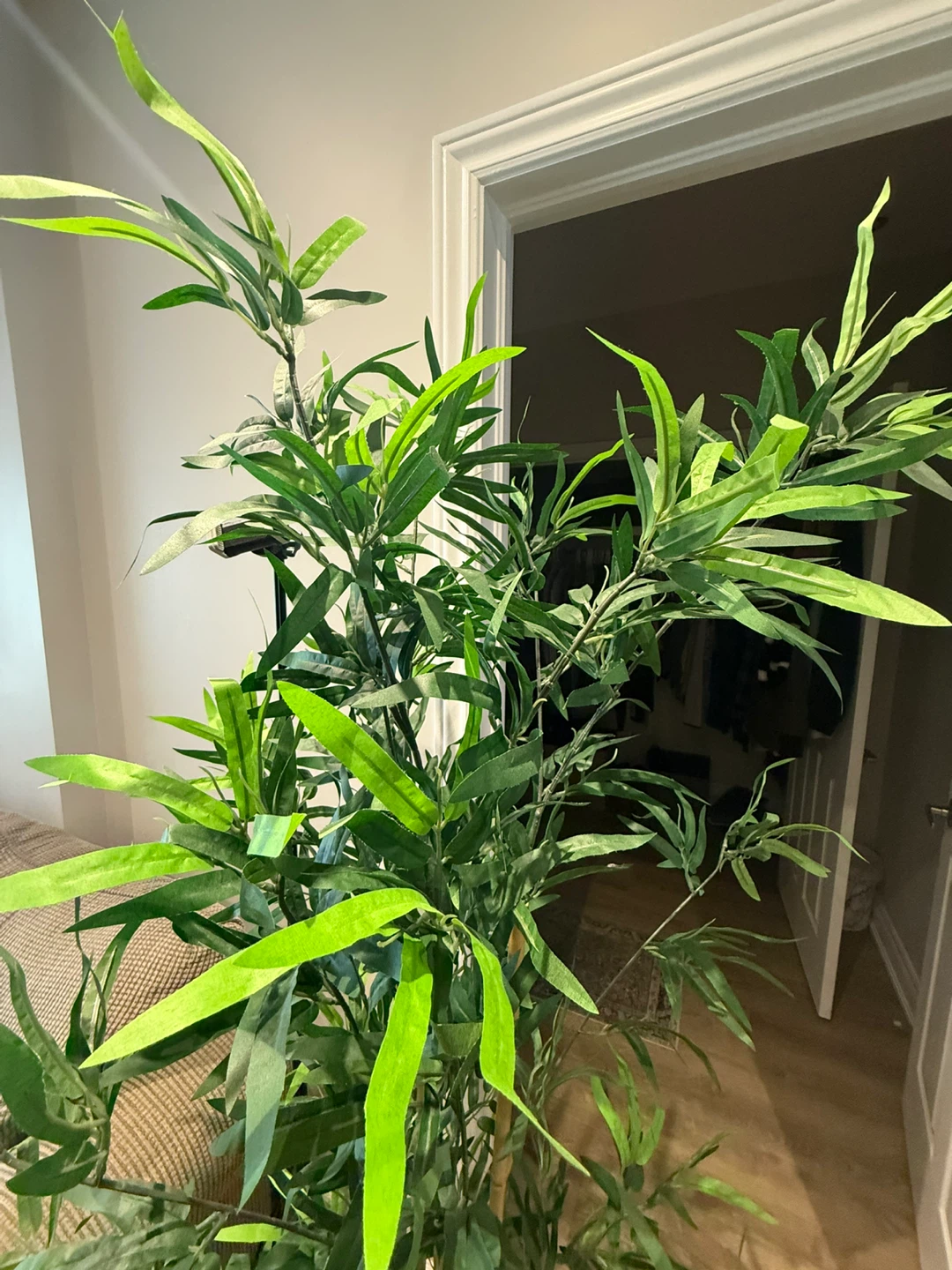 Artificial lucky bamboo!!!