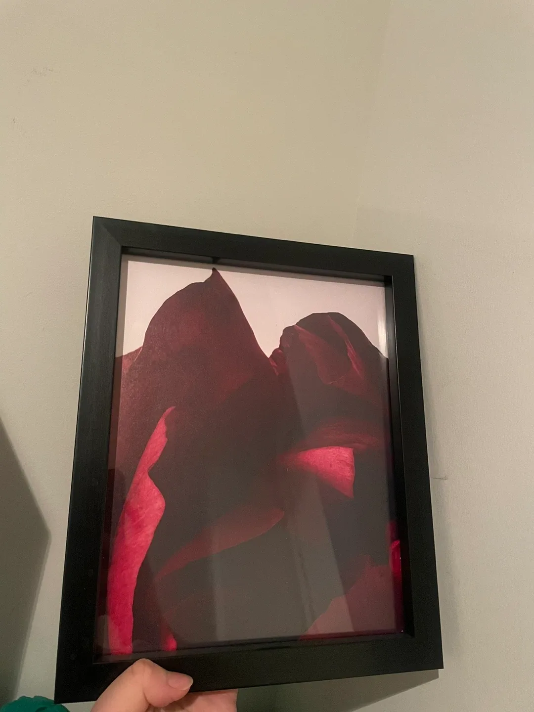 Framed Red Floral Art Print