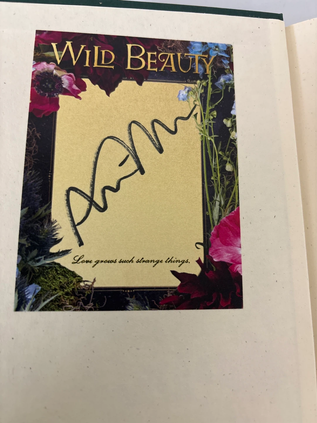 Wild Beauty by Anna Marie McLemore Signed Book - photo 2