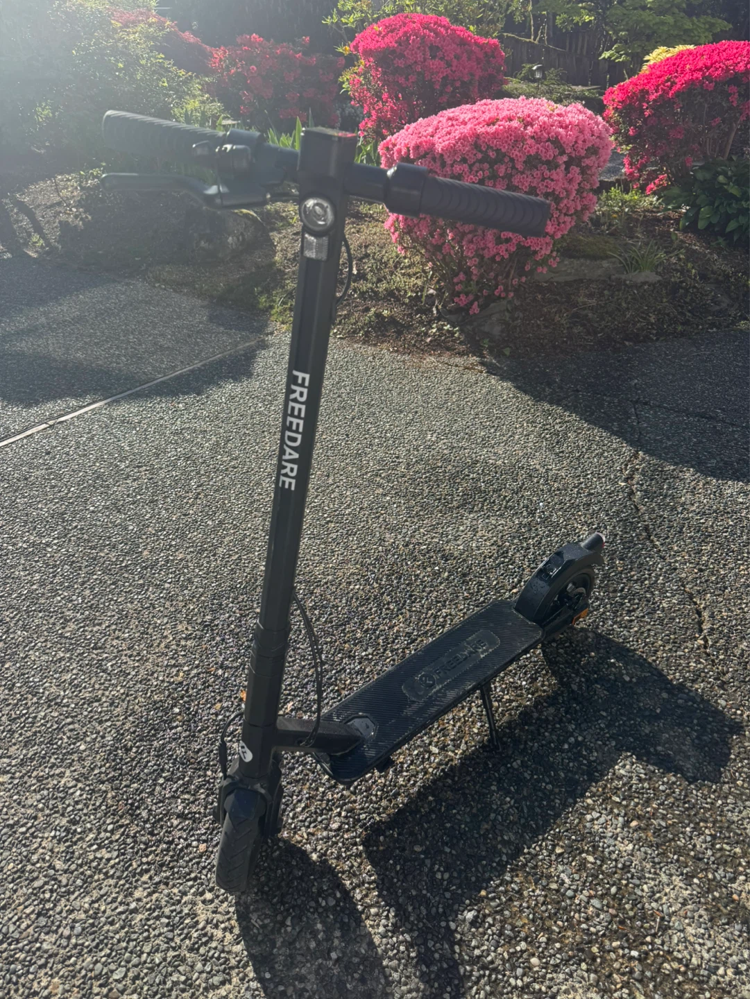 FREEDARE Electric Scooter