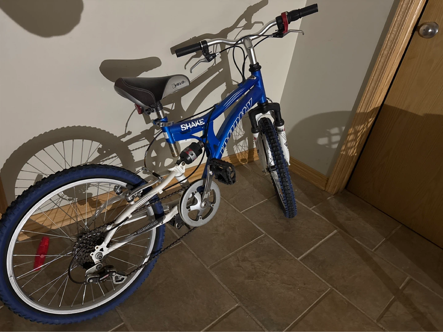 Blue shake bicycle