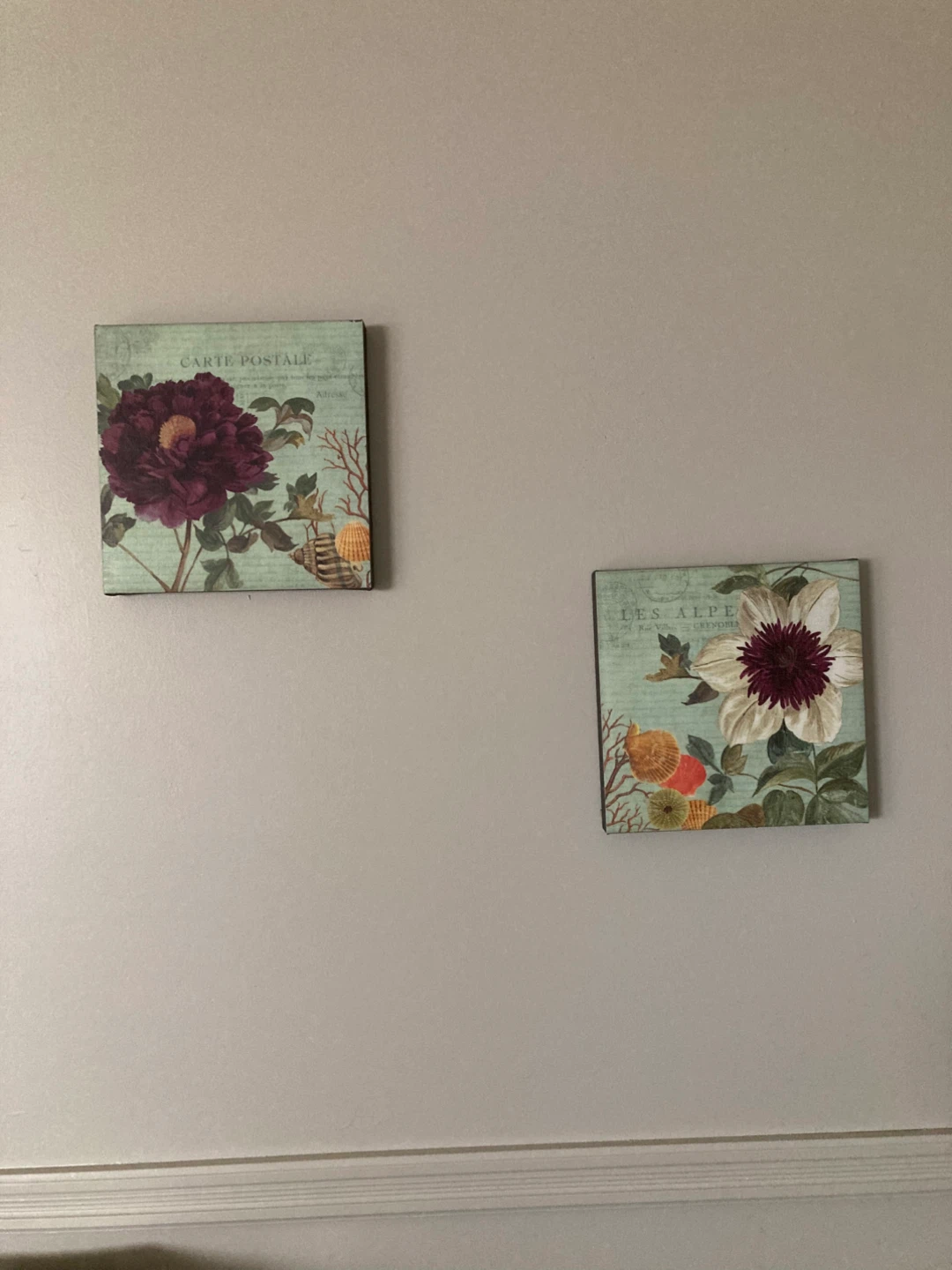 Set of 2 Floral Canvas Wall Art