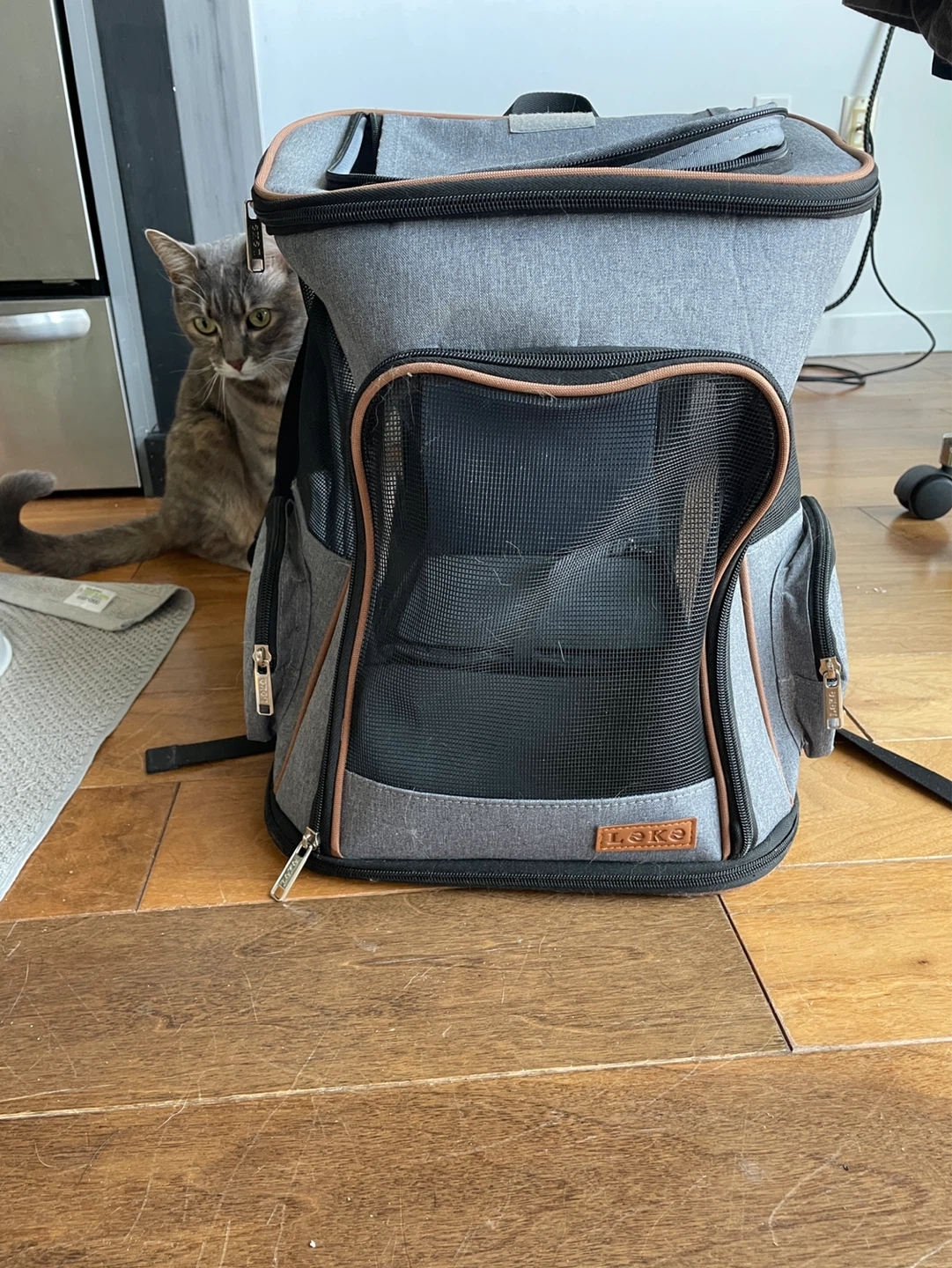 Expandable cat backpack (used)