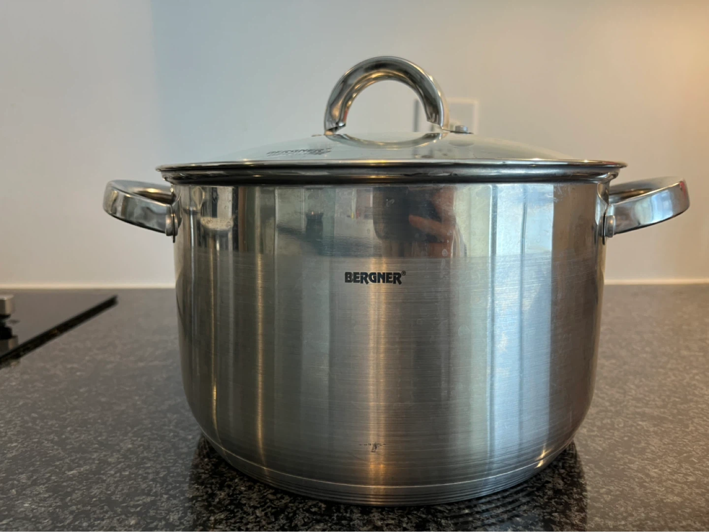 Bergner Stainless Steel Stock Pot with Lid