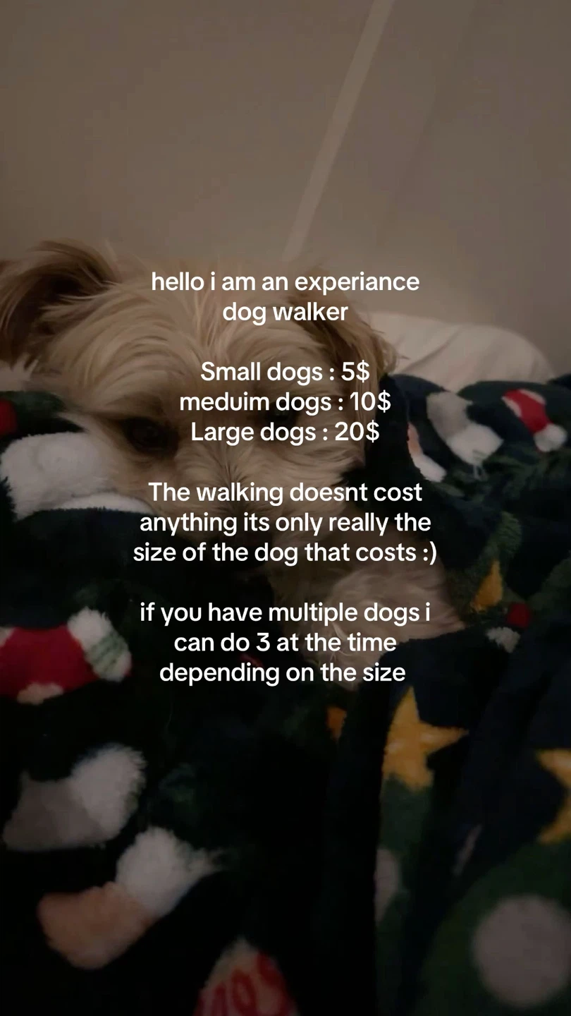Experienced Dog Walker Services