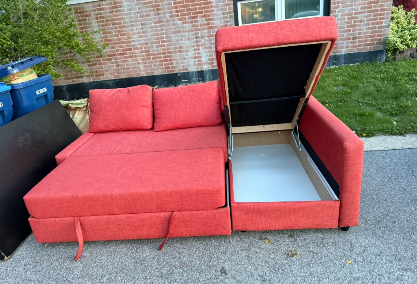 Coral Sectional Sofa Bed with Storage - photo 2