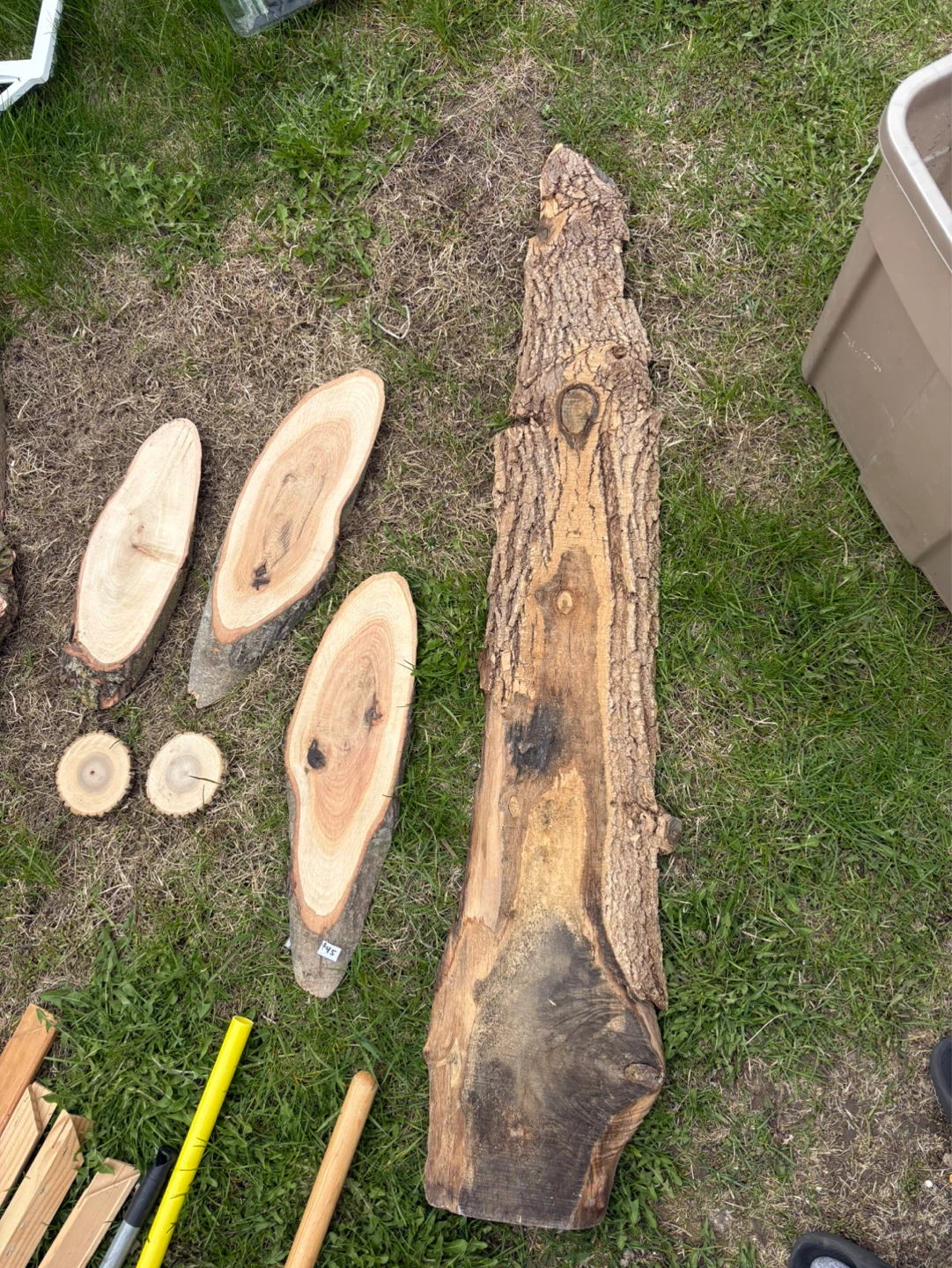 Live edge wood pieces 20 each  Artwork on Wood Slice - photo 2