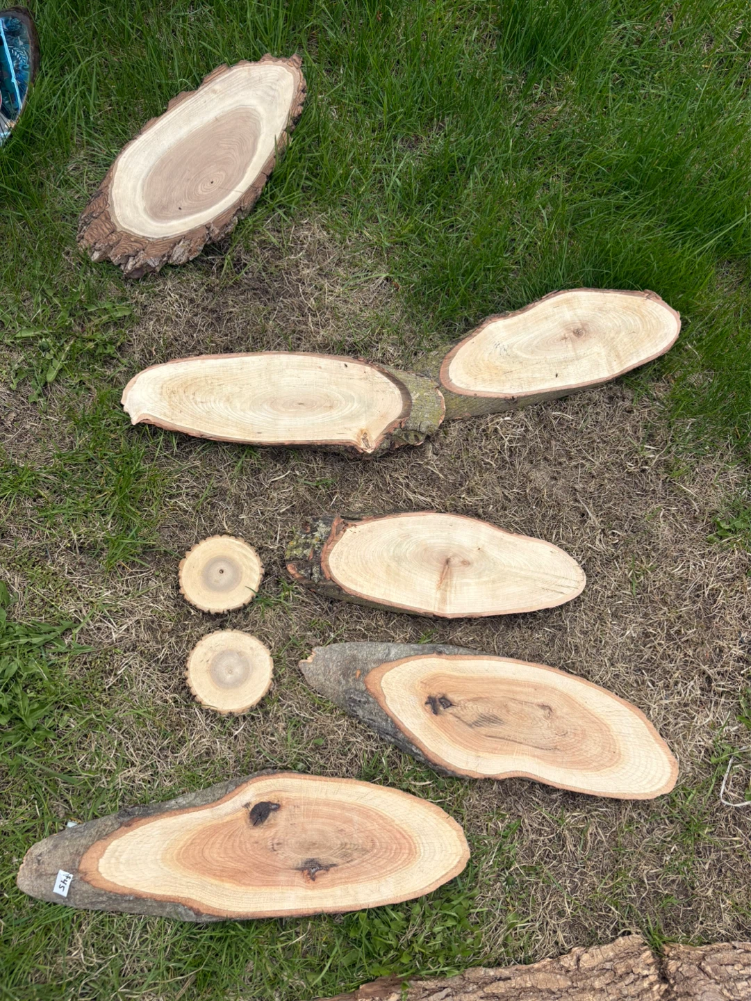 Live edge wood pieces 20 each  Artwork on Wood Slice