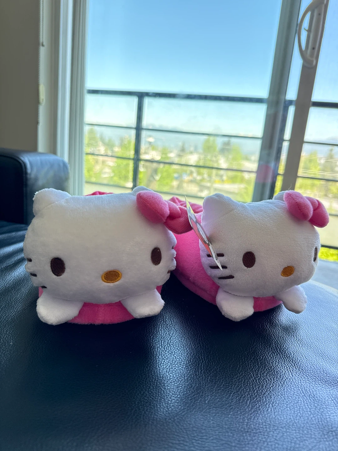 Hello Kitty Plush Slippers