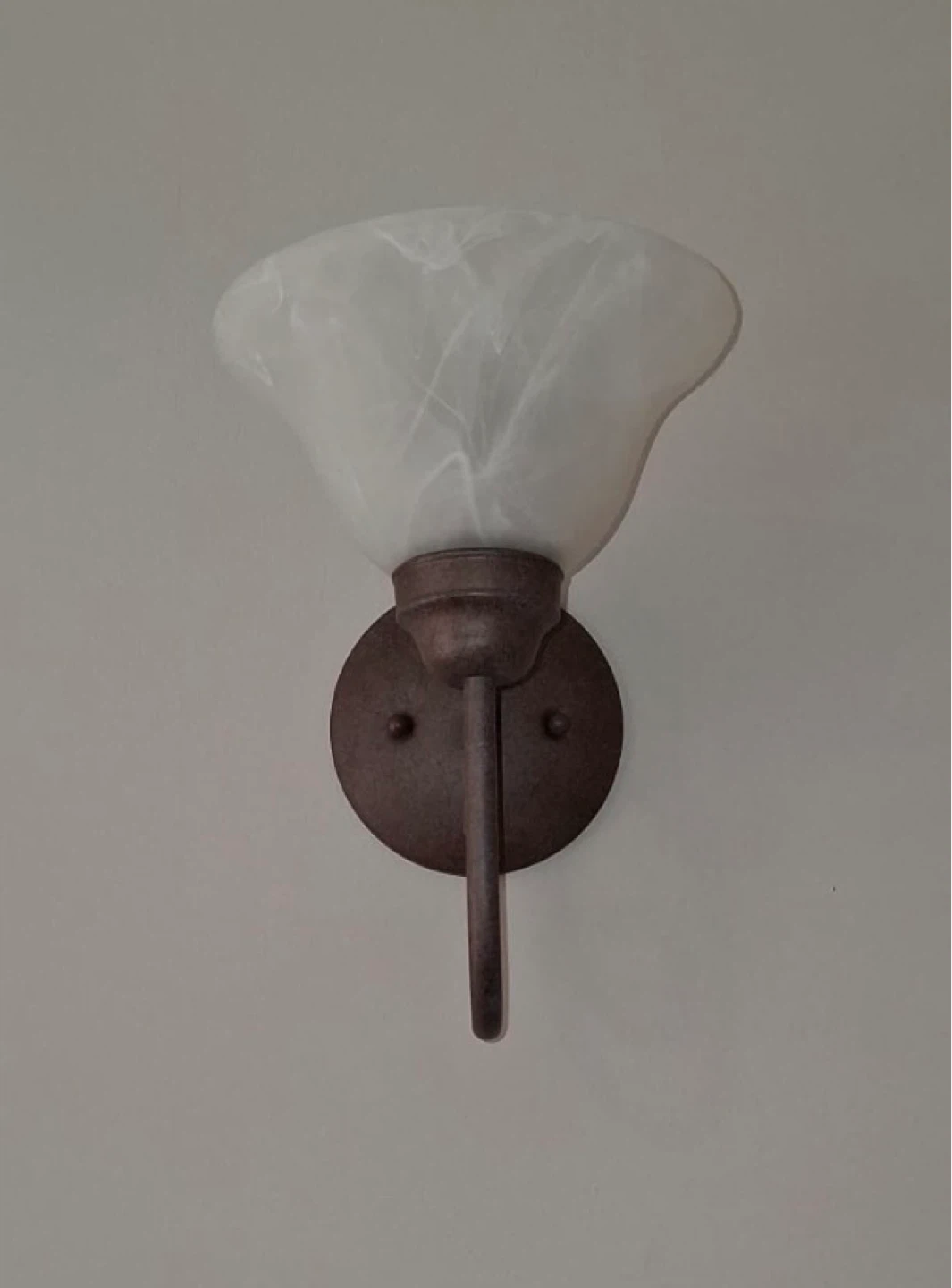 Wall Sconce Light Fixture
