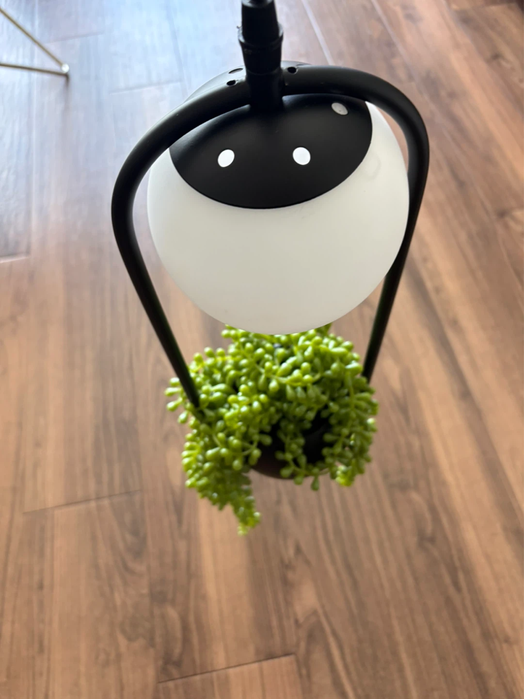 Stylish Plant Flower Pot Lamp Garden Living Room - photo 3