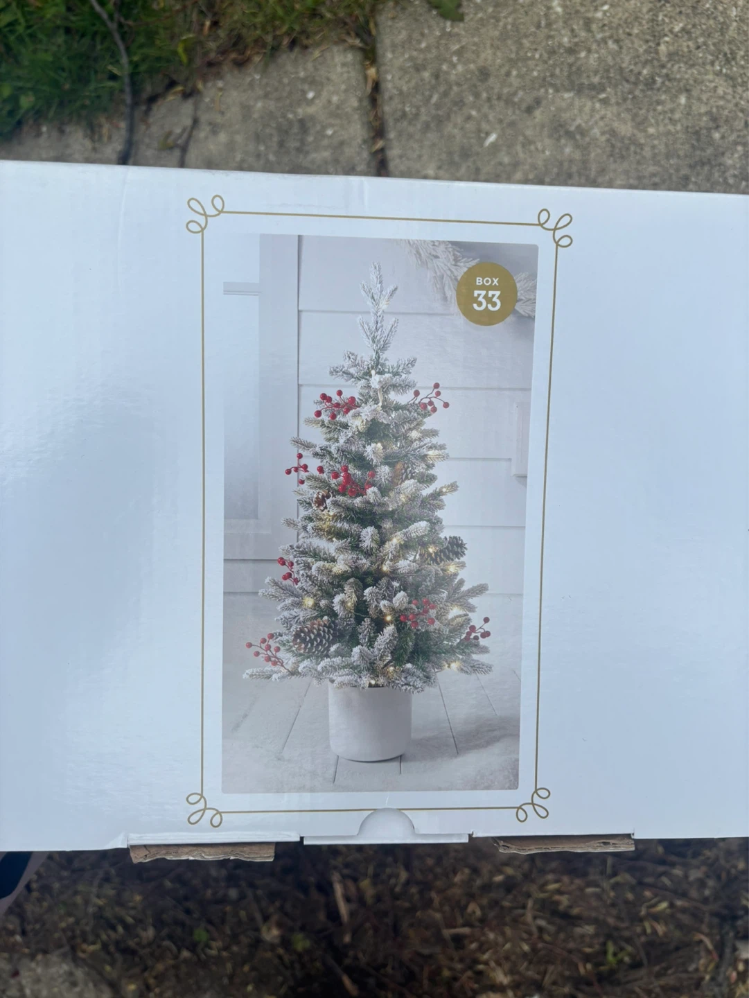 Potted Balsam Fir LED Pre-Lit Tree - 3.5 ft - photo 3