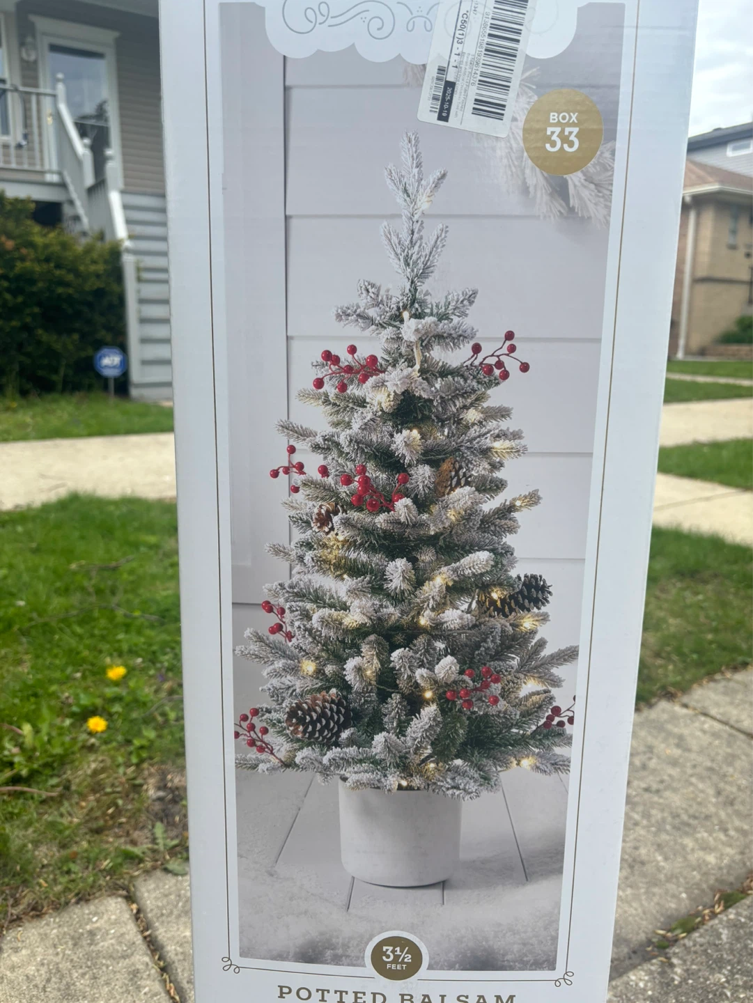 Potted Balsam Fir LED Pre-Lit Tree - 3.5 ft