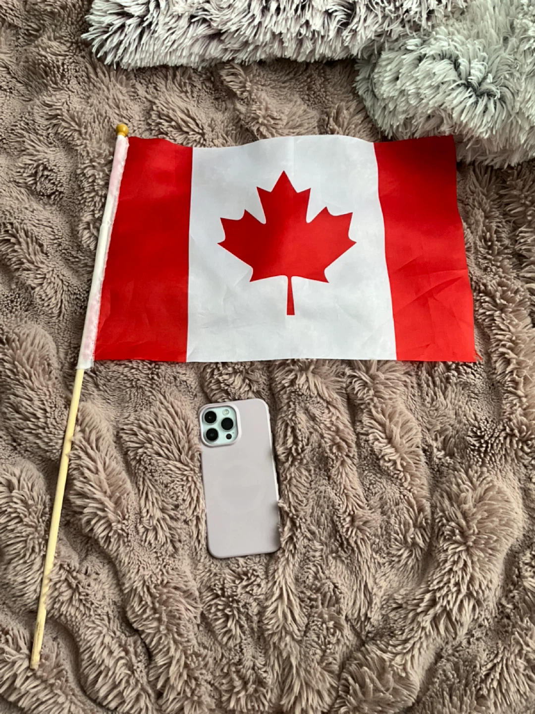 Canadian flag - photo 2