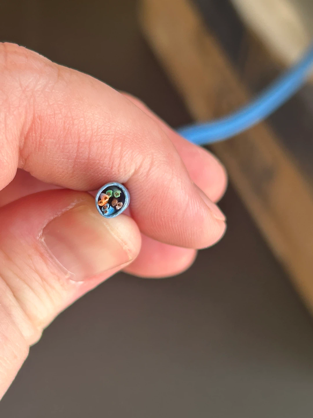 Belden Cat 5e CMR Ethernet Cable - photo 4