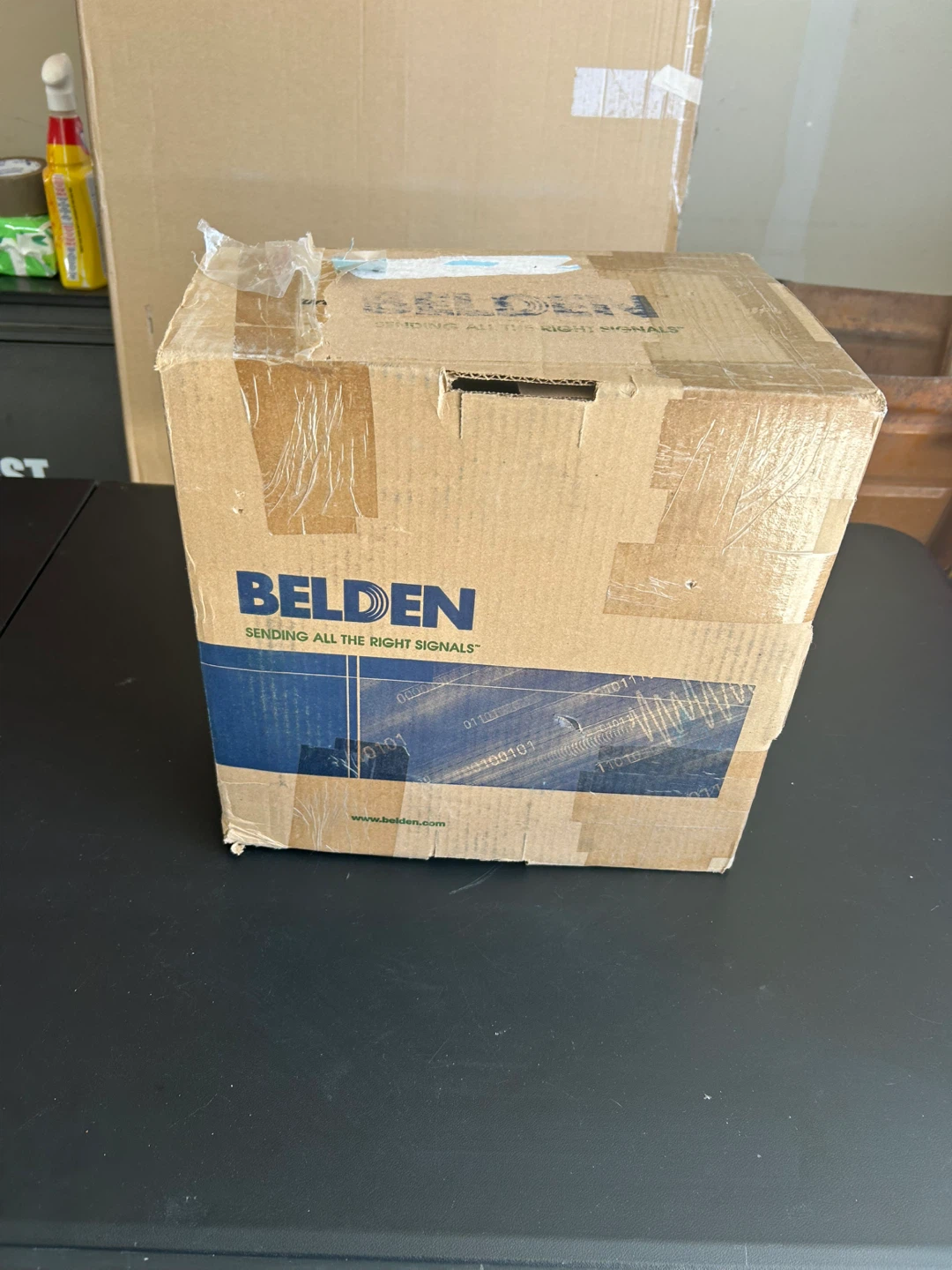 Belden Cat 5e CMR Ethernet Cable - photo 2