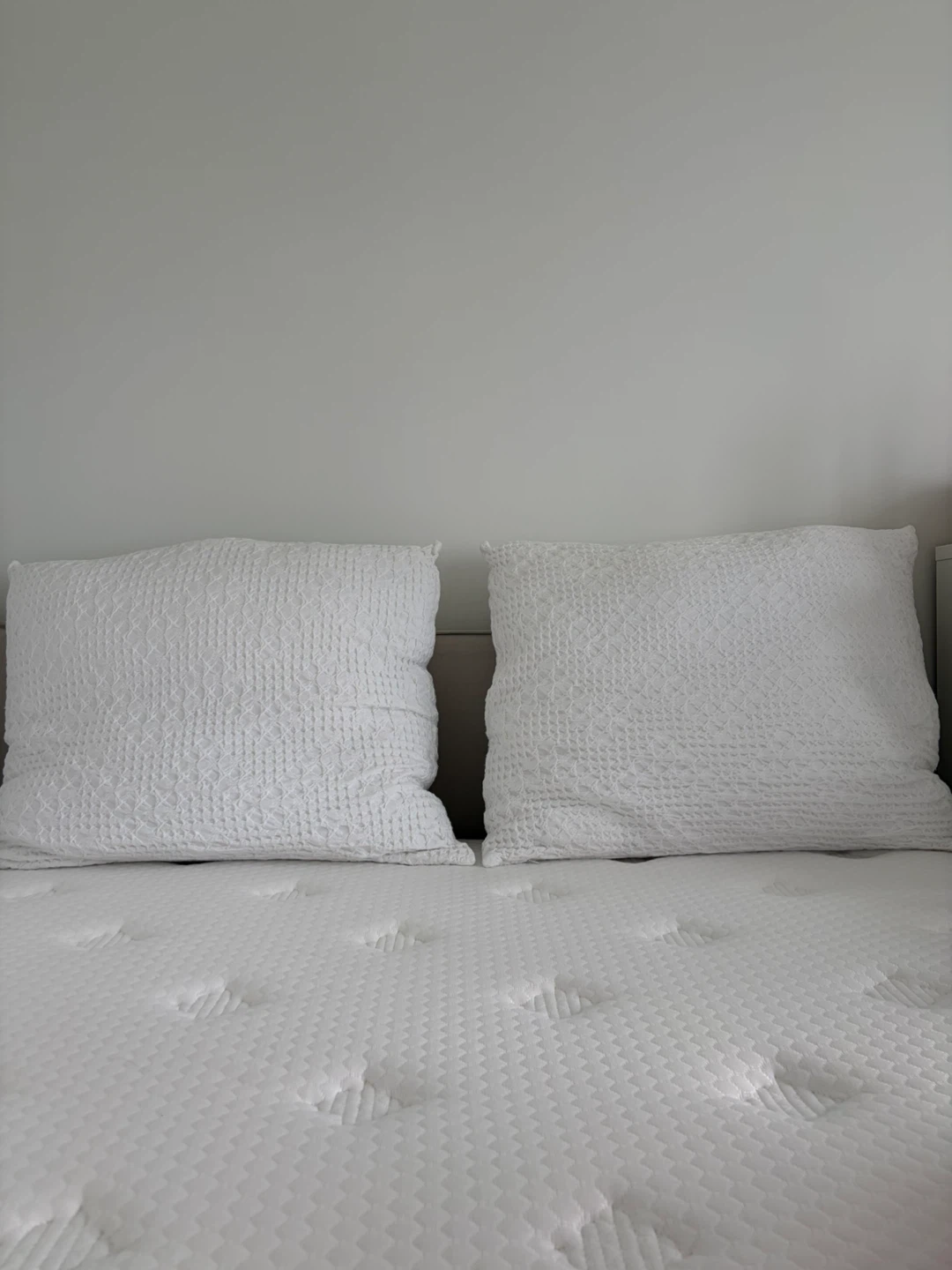 Set of 2 Large Textured Throw Pillows – White