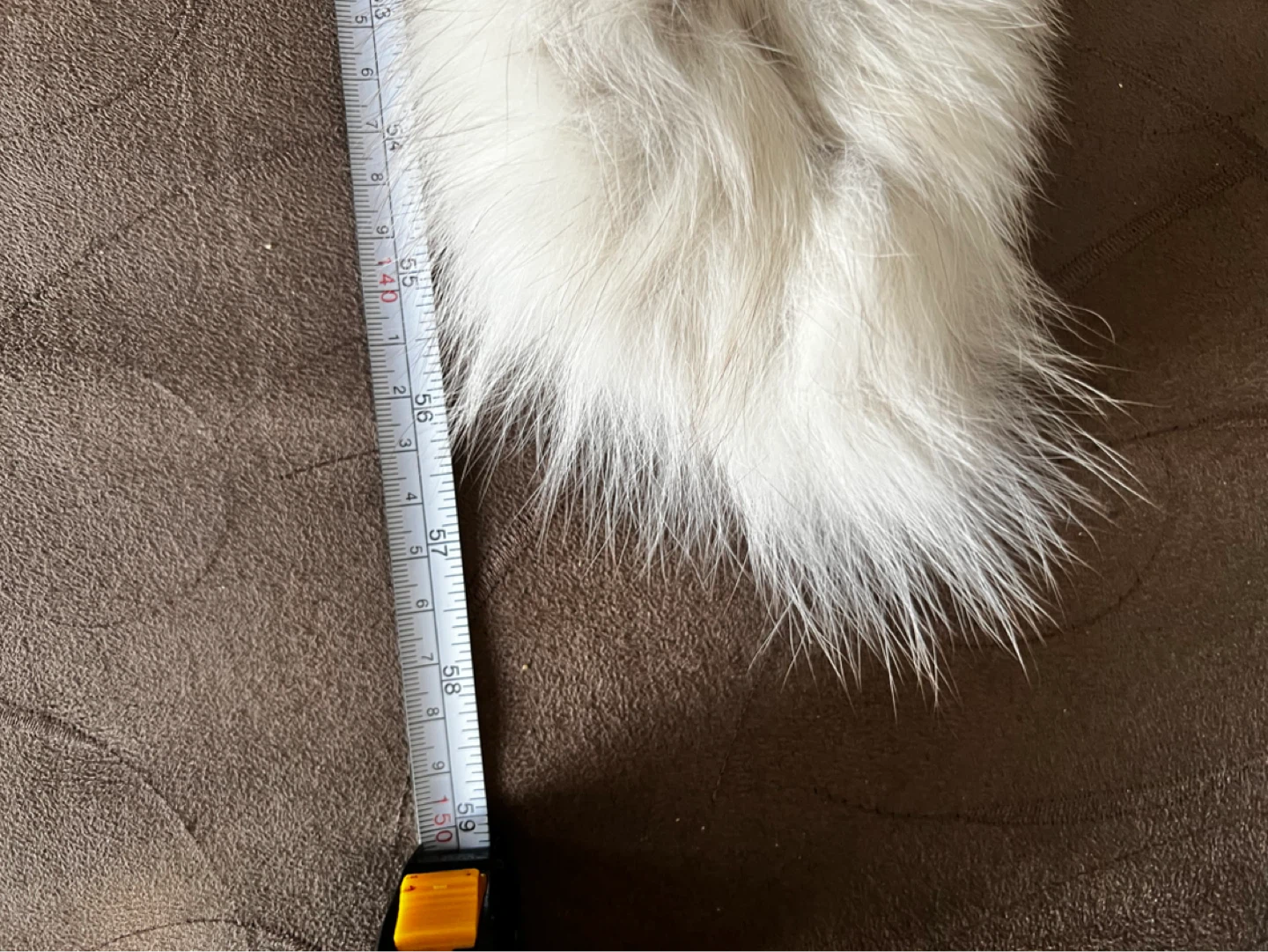 White Real Fur Scarf - photo 4