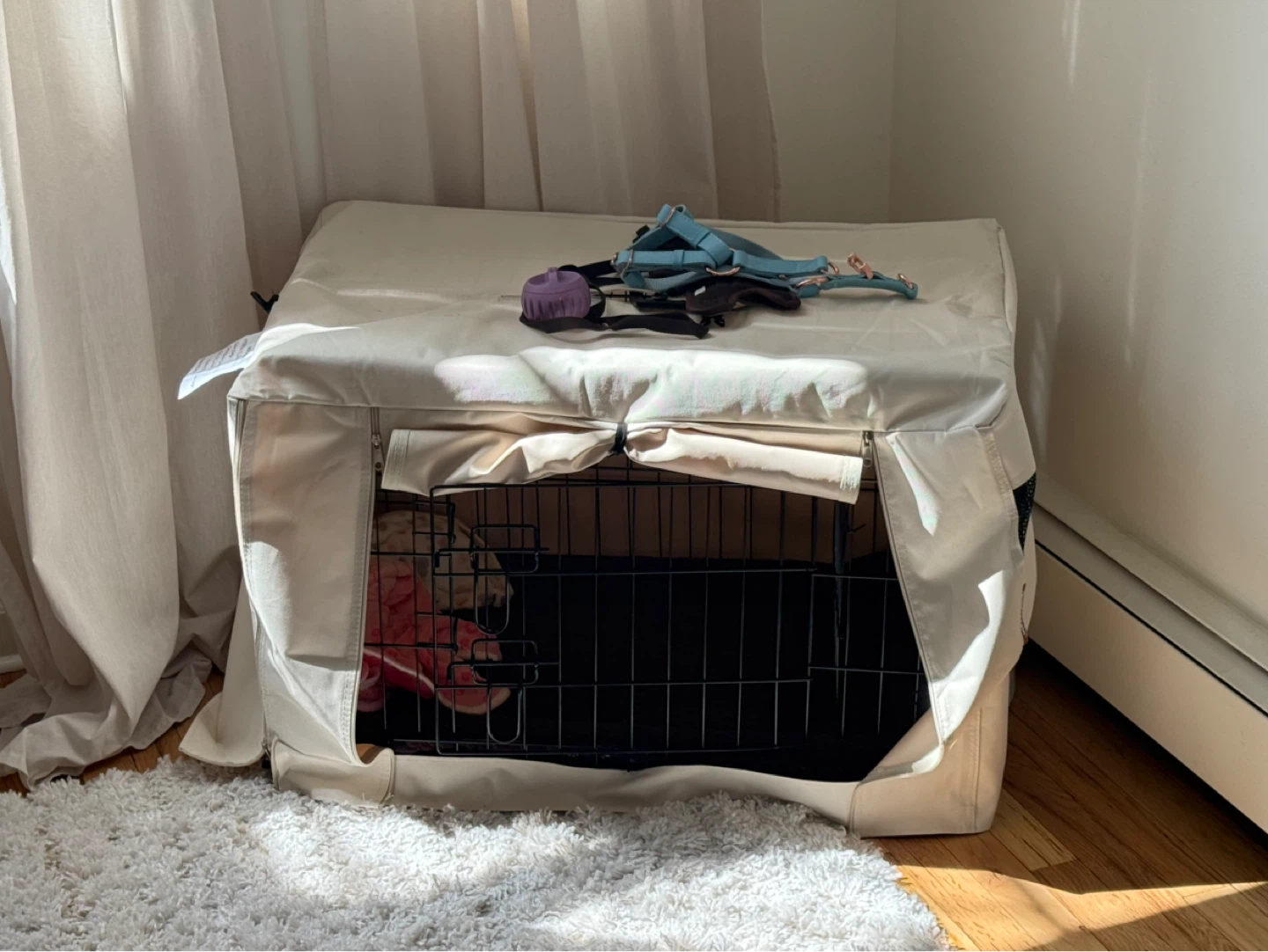 Dog Crate with Cover