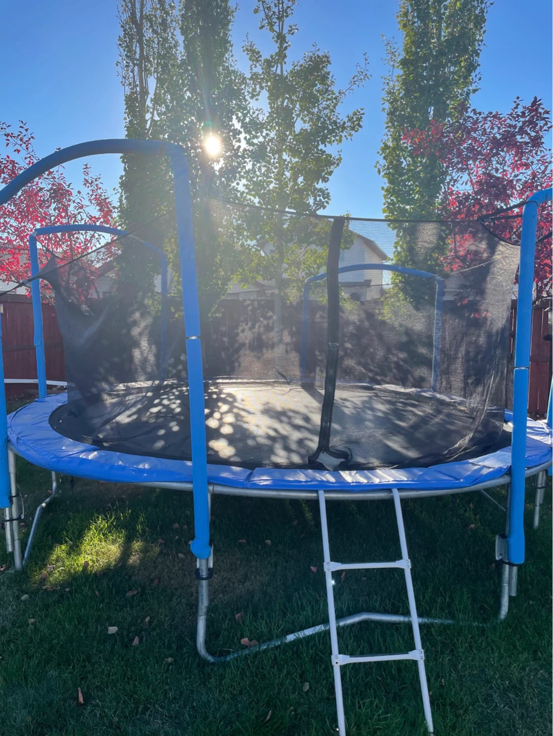 14’ Trampoline with Safety Net and Ladder - photo 3
