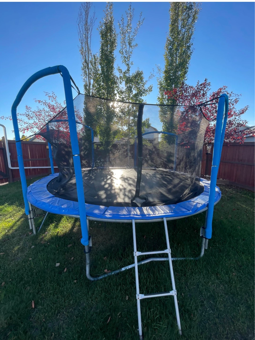 14’ Trampoline with Safety Net and Ladder