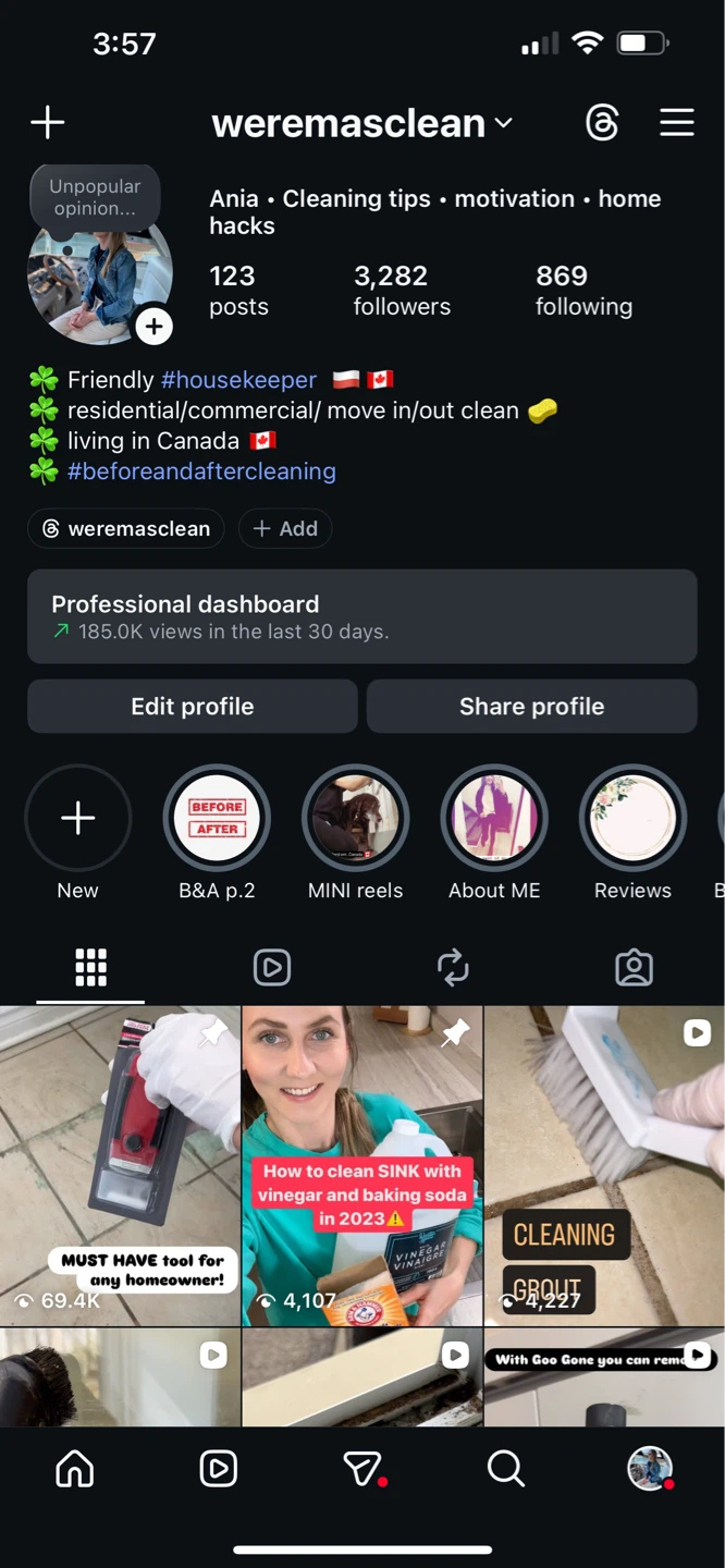 Professional and detailing cleaning service