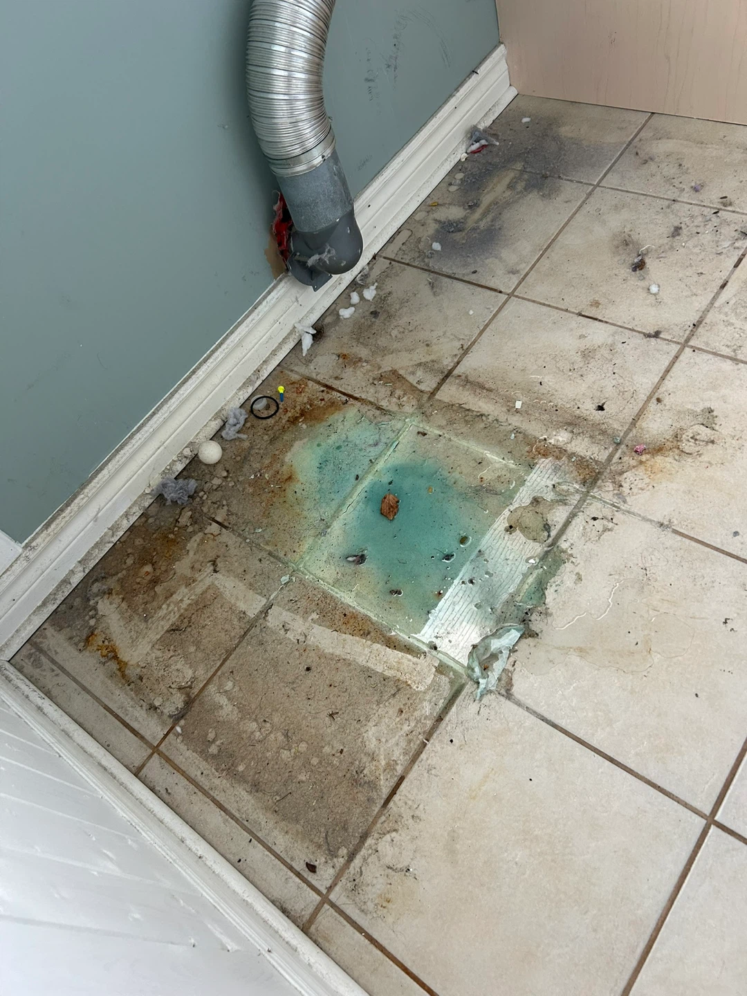 Professional and detailing cleaning service - photo 2