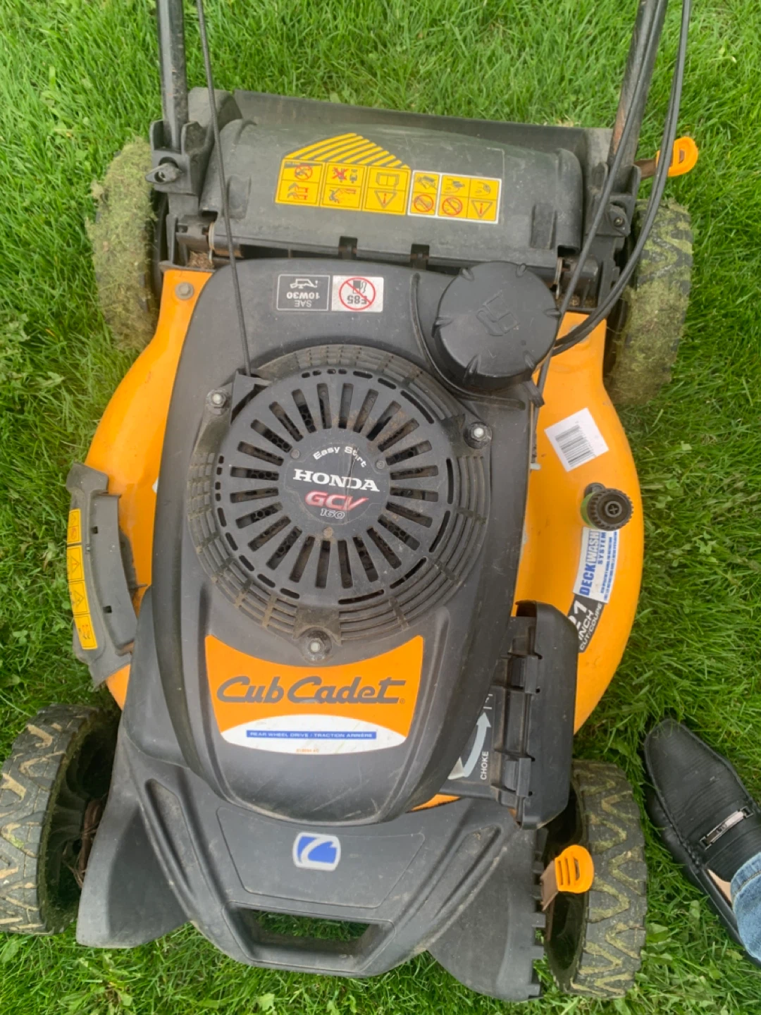 Cub Cadet Orange Push Lawn Mower with Honda GCV160 Engine