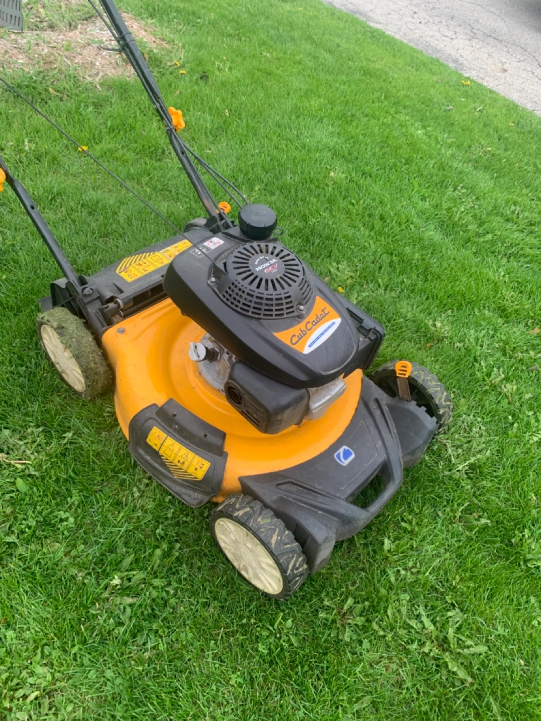 Cub Cadet Orange Push Lawn Mower with Honda GCV160 Engine - photo 2