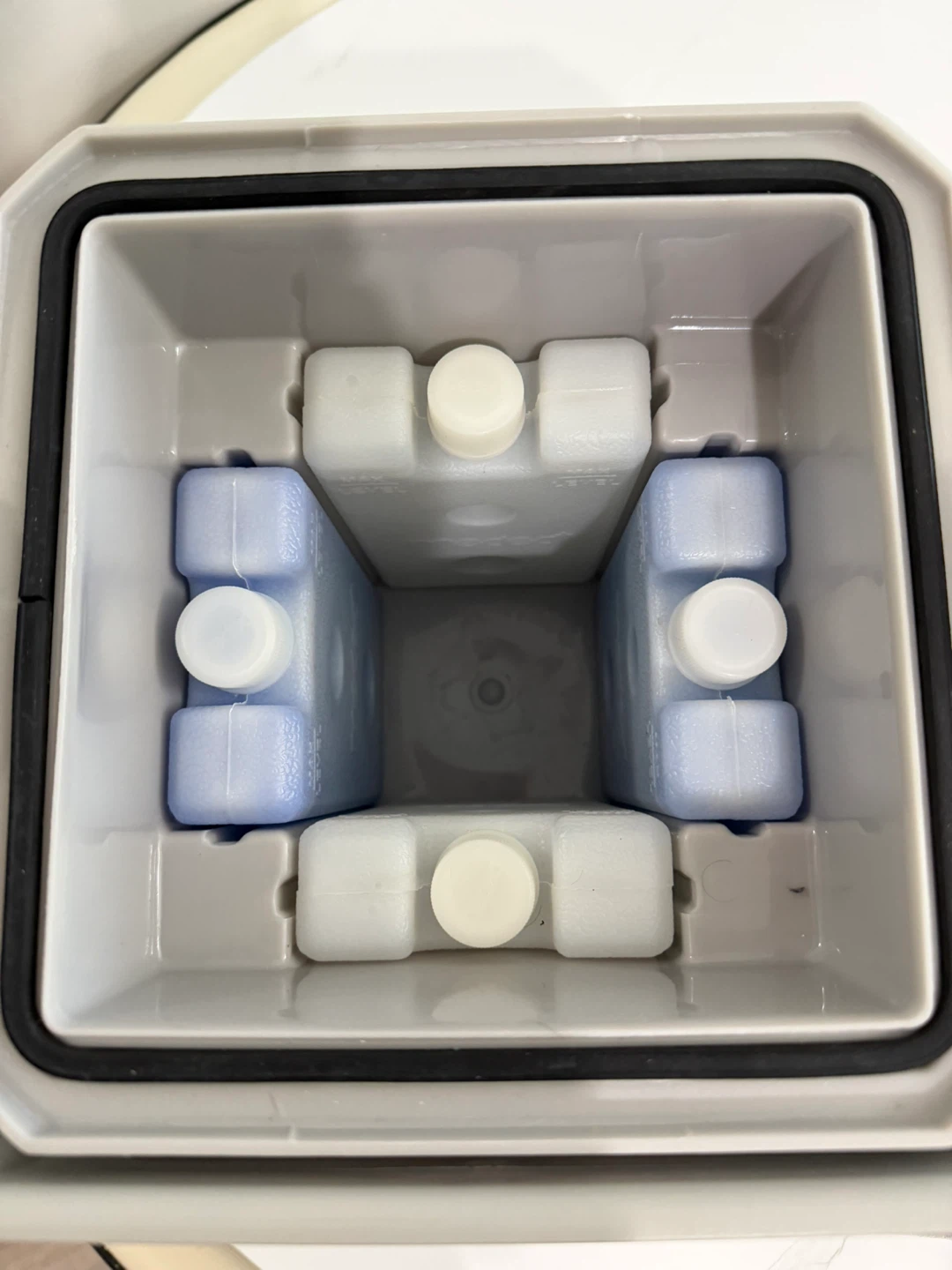 Cold box/Igloo Cooler with Ice Packs - photo 3