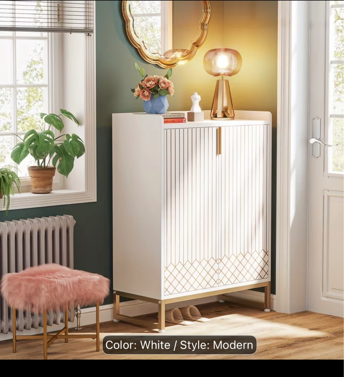 Modern White Shoe Cabinet with Doors