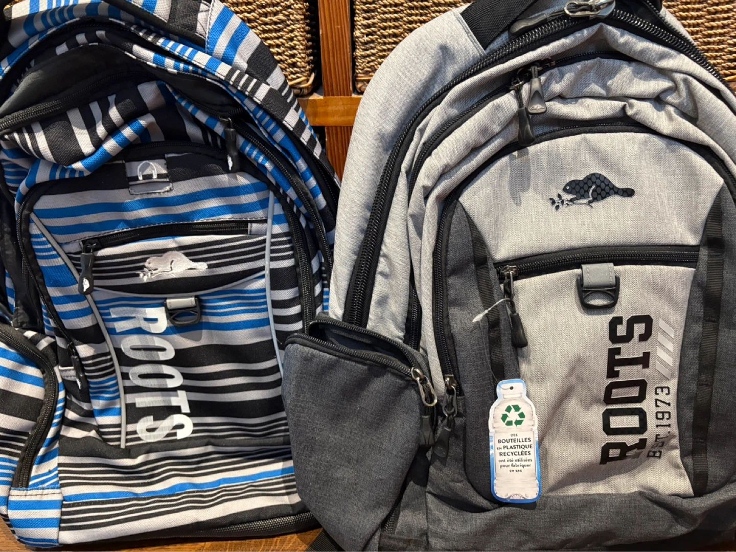 Roots Backpack 2