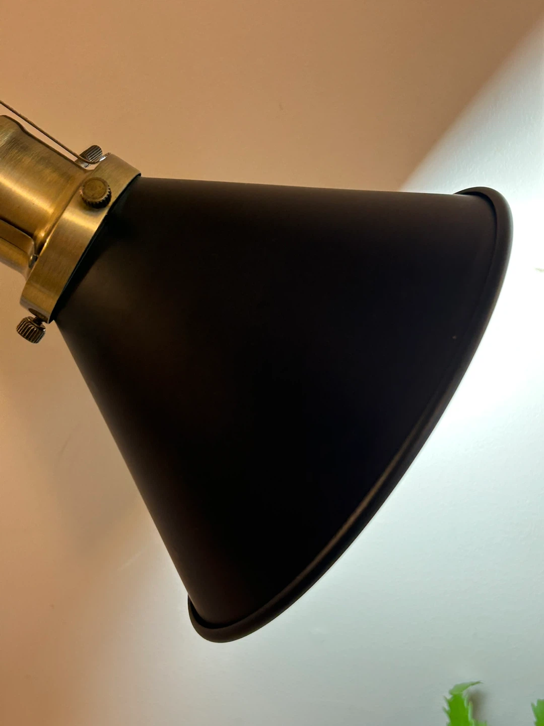 Adjustable Floor Lamp - Black with Brass Accents - photo 5