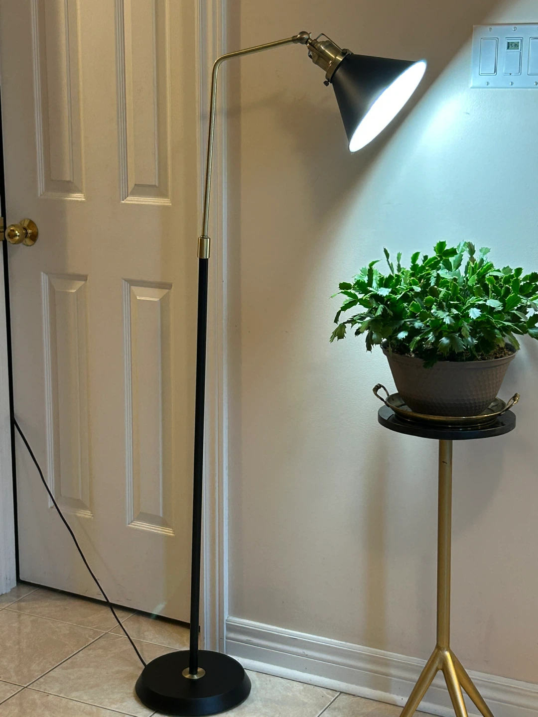 Adjustable Floor Lamp - Black with Brass Accents