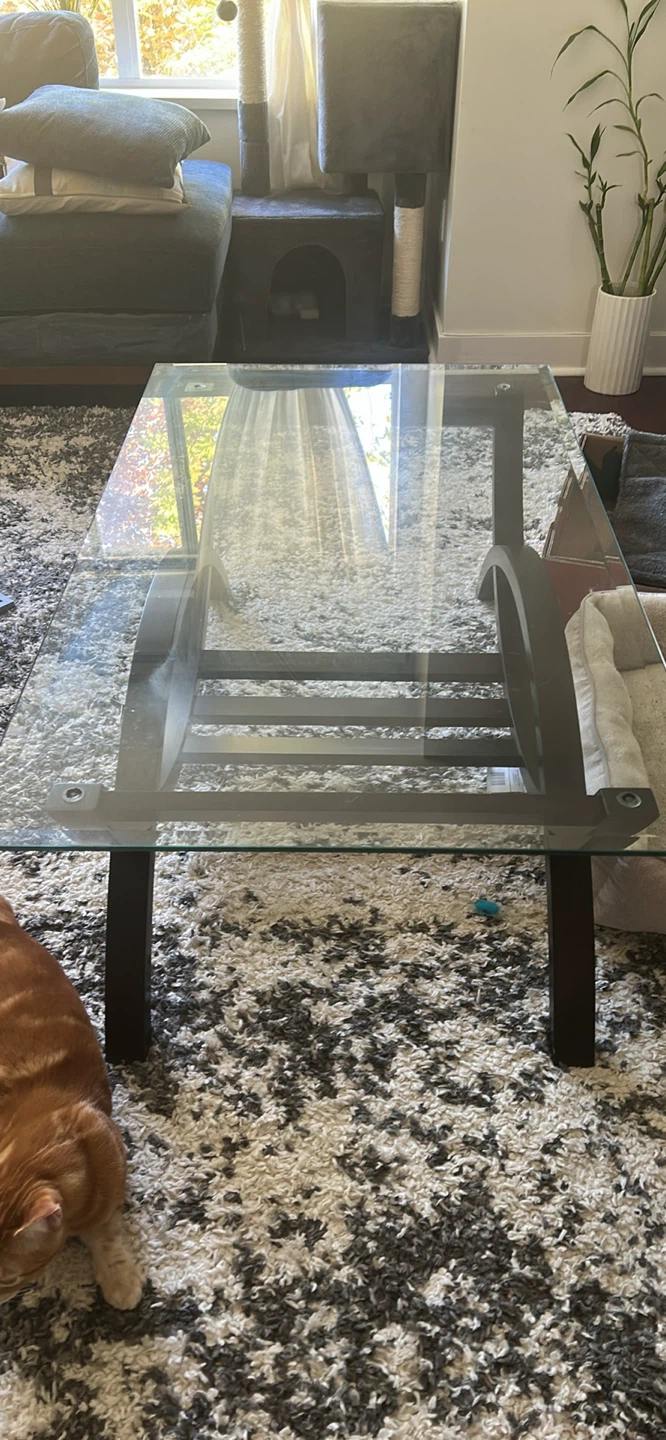 Glass Coffee Table with Dark Wood Legs