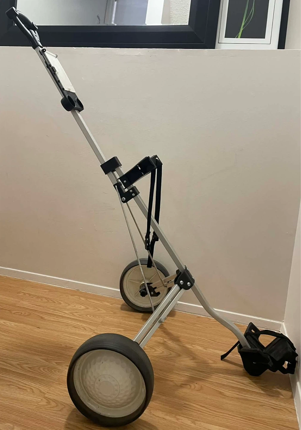 Golf Push Cart